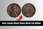 Rare Lincoln Wheat Penny Worth $10 Million